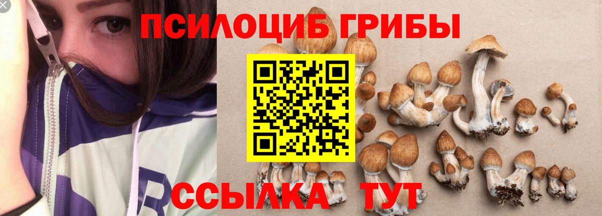 где купить наркотик  Галлюциногенные грибы MAGIC MUSHROOMS  Вход с VPN  Спасск-Дальний 